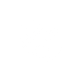 Fine robusta