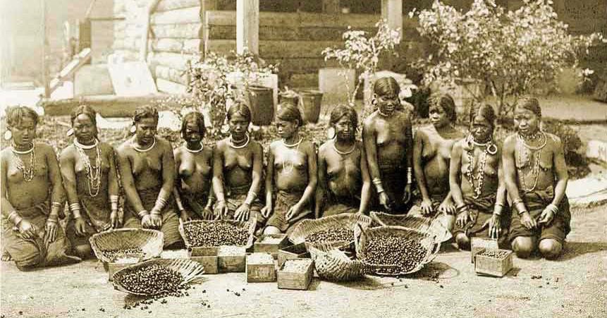 Kho tribe, harvesting coffee in 1925